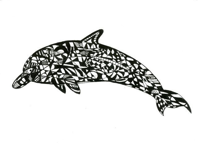 Dolphin
