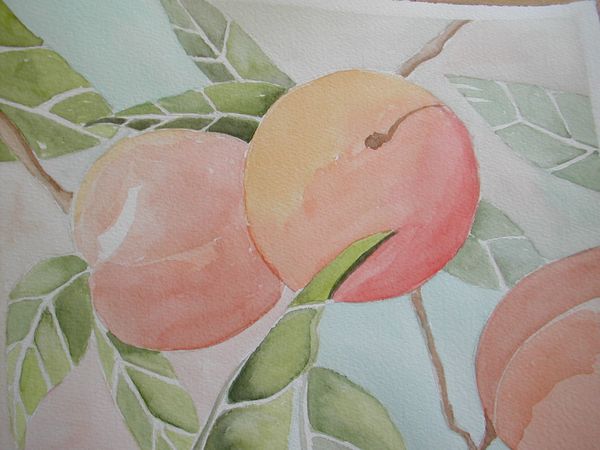 Peaches