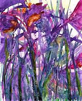 Wildflowers