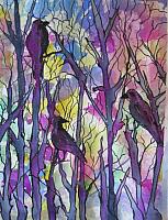 Poe Birds