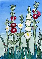 Hollyhocks