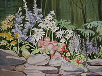 Flowers in the Forest