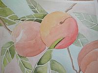 Peaches